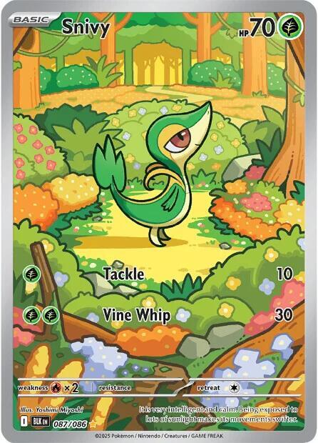 Snivy - 087/086 - SV: Black Bolt - 087/086