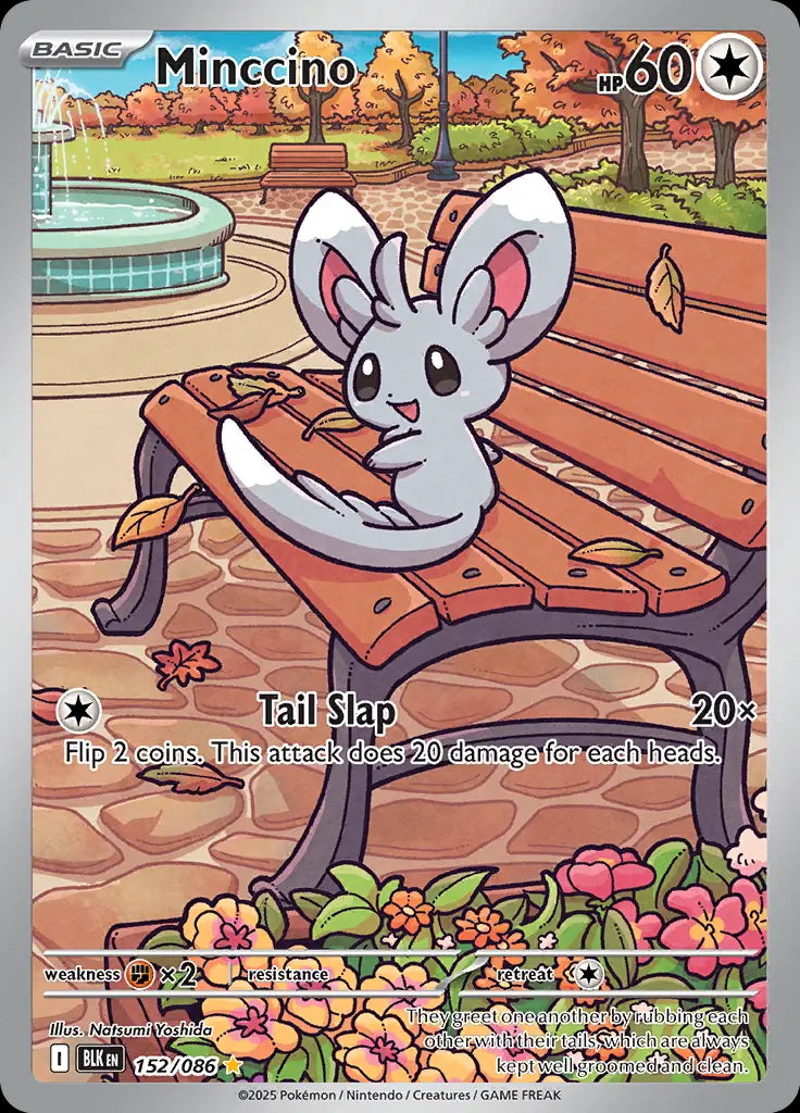 Minccino - 152/086 - SV: Black Bolt - 152/086